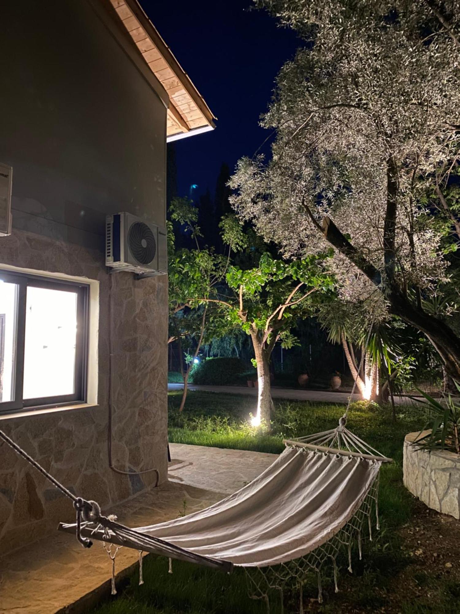 Olive Tree Apartments Lefkada City Ruang foto