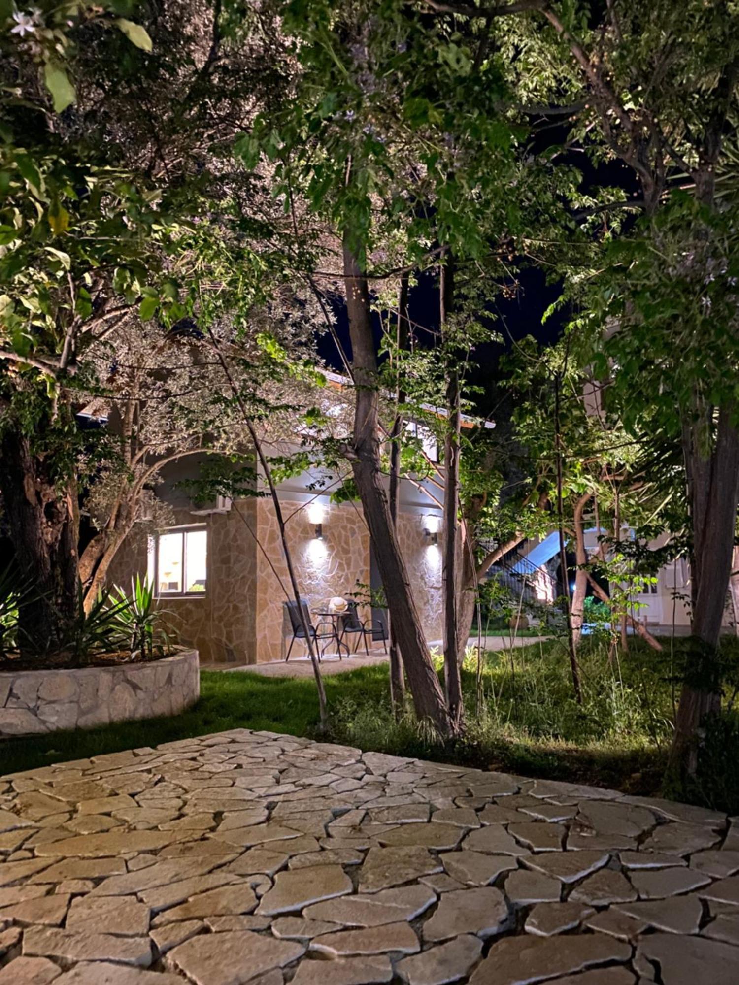 Olive Tree Apartments Lefkada City Ruang foto
