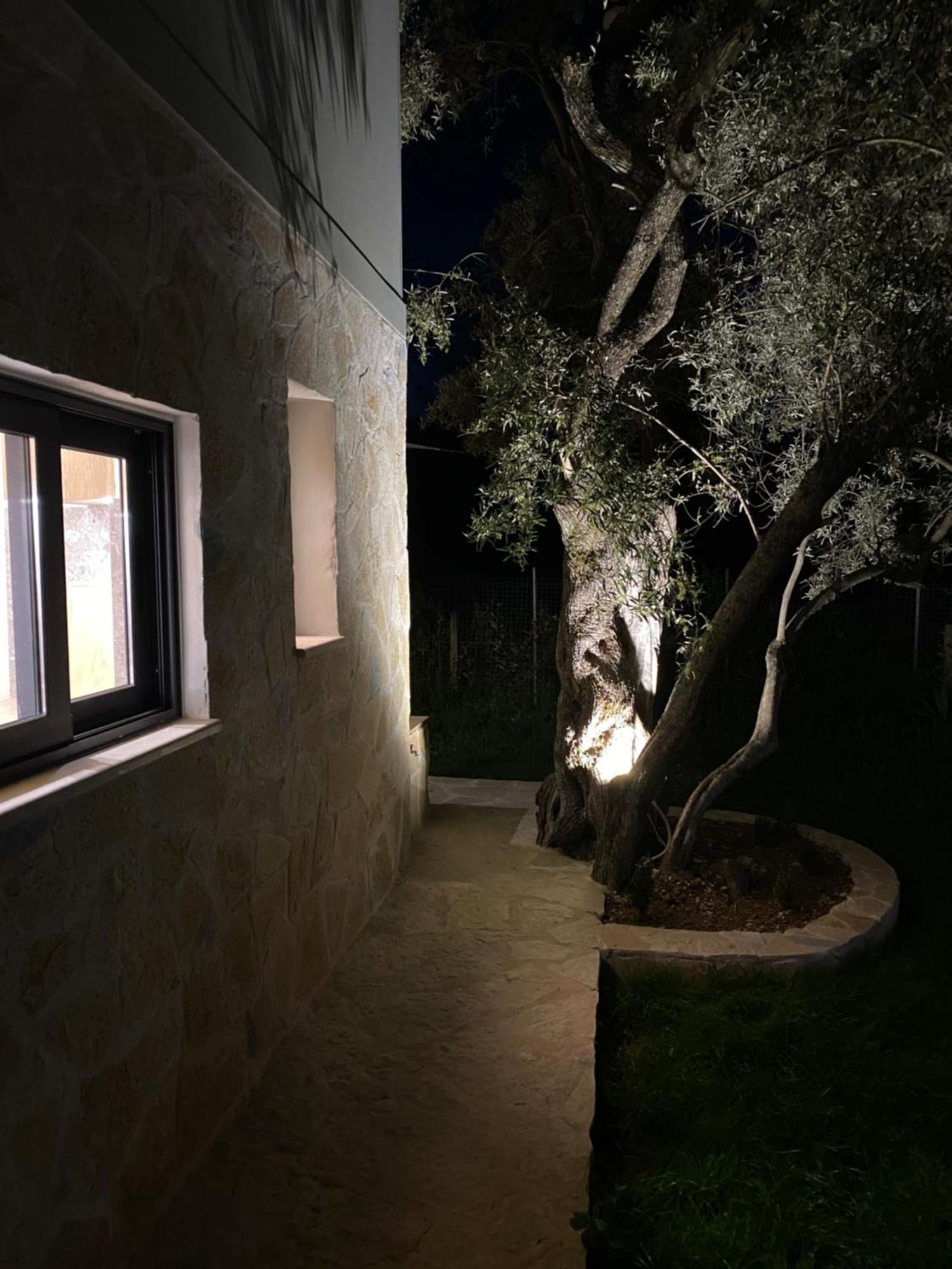 Olive Tree Apartments Lefkada City Bagian luar foto